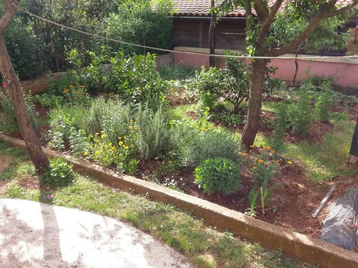 Apartments Ingrid Novigrad Istria