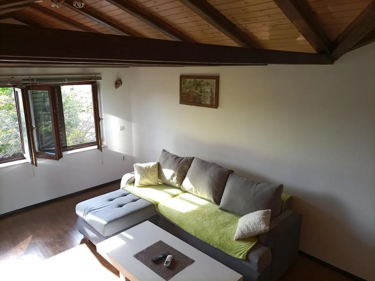 Apartments Ingrid Novigrad Istria 0*,