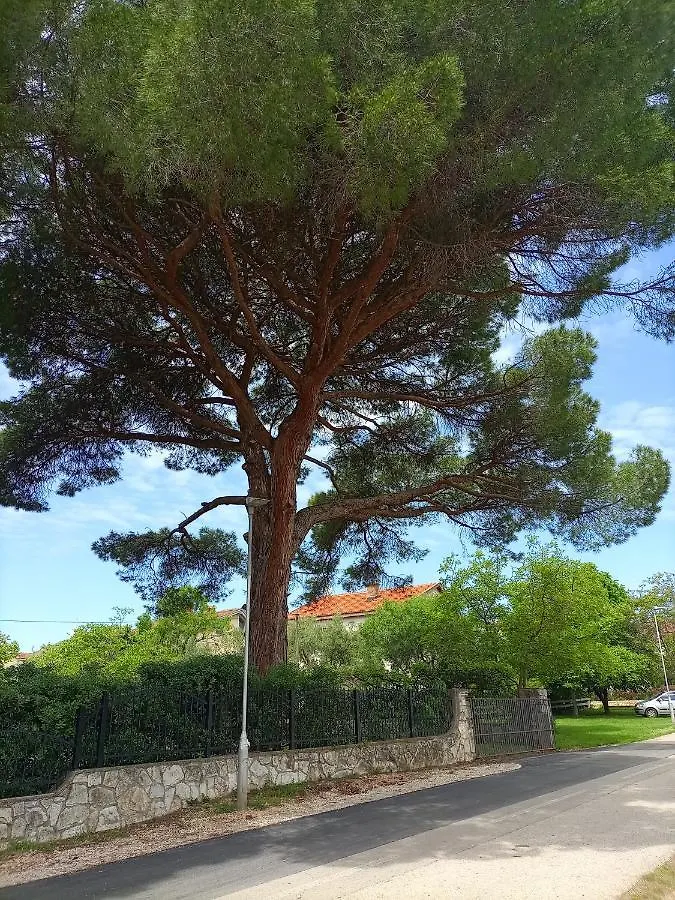 Apartments Ingrid Novigrad Istria