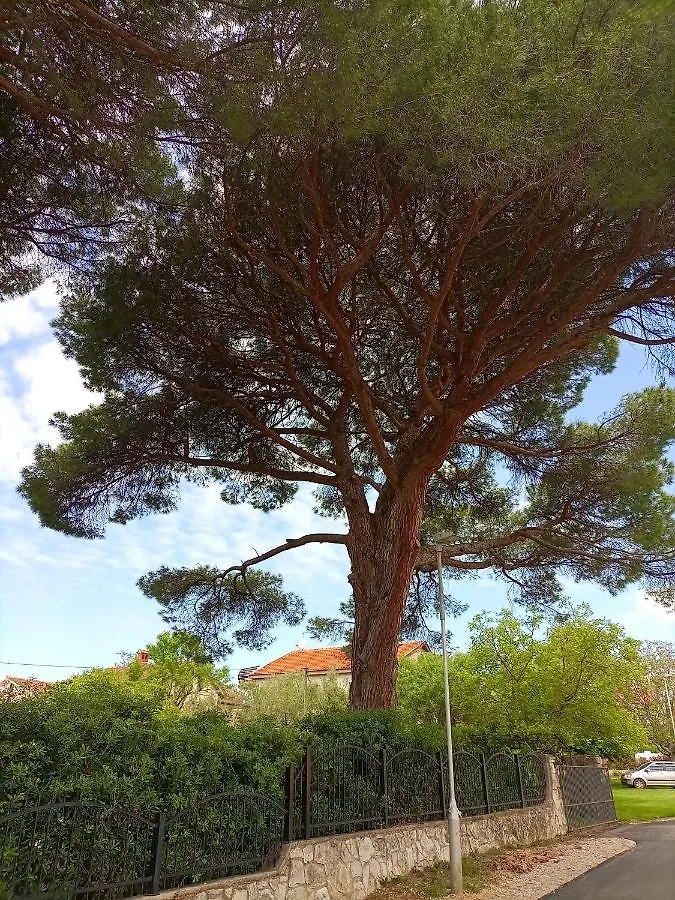 Apartments Ingrid Novigrad Istria Chorvatsko