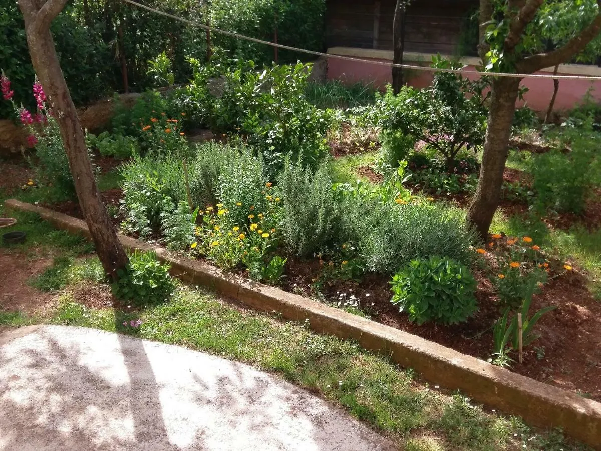 Apartments Ingrid Novigrad Istria